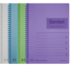 GAMBOL A5 雙線圈透明PP面單行簿(80頁)(2本裝)